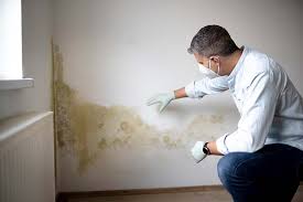 Best Comprehensive Air Testing for Mold Contaminants in Pink, OK